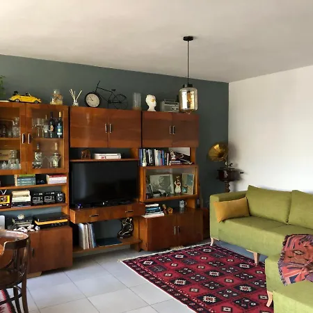 Midcentury Modern 1 Bedroom In