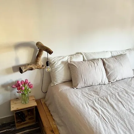 Midcentury Modern 1 Bedroom In 公寓