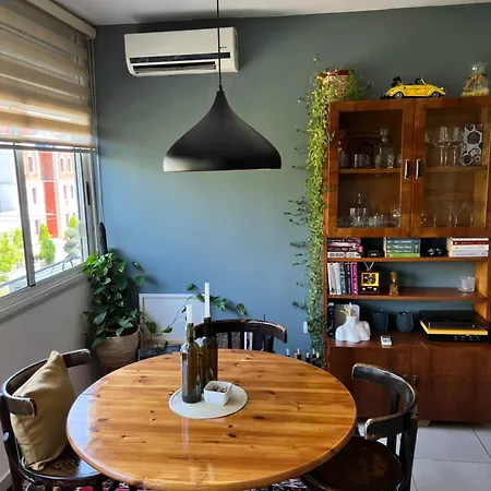 Midcentury Modern 1 Bedroom In