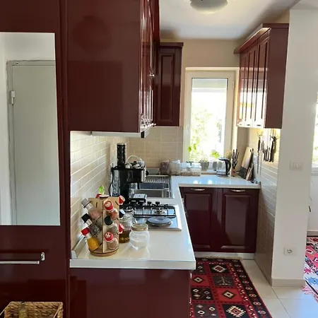 Midcentury Modern 1 Bedroom In 地拉那