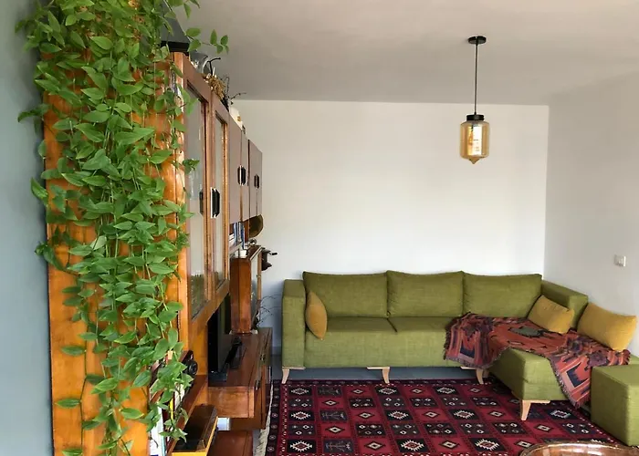 Midcentury Modern 1 Bedroom In