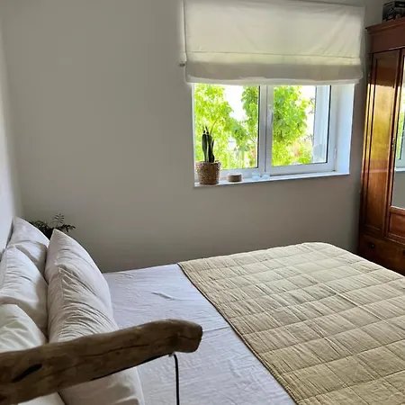 Apartment Midcentury Modern 1 Bedroom In