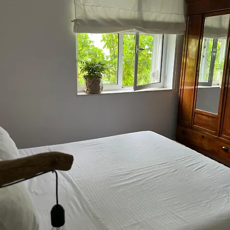 Midcentury Modern 1 Bedroom In Appartement Tirana