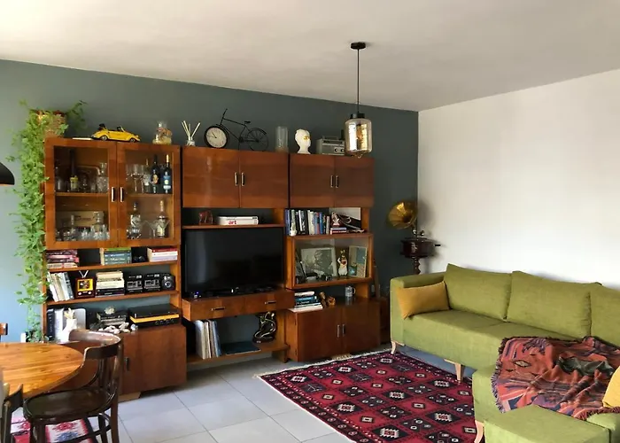 Midcentury Modern 1 Bedroom In