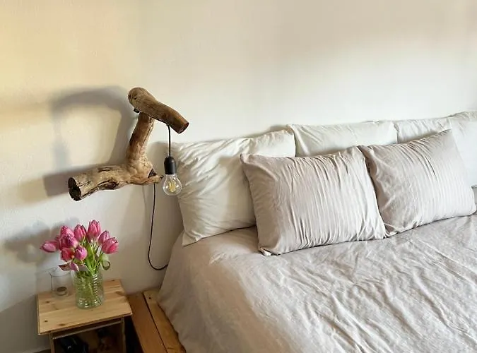 Midcentury Modern 1 Bedroom In Appartement