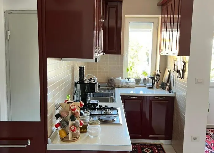 Midcentury Modern 1 Bedroom In Tirana